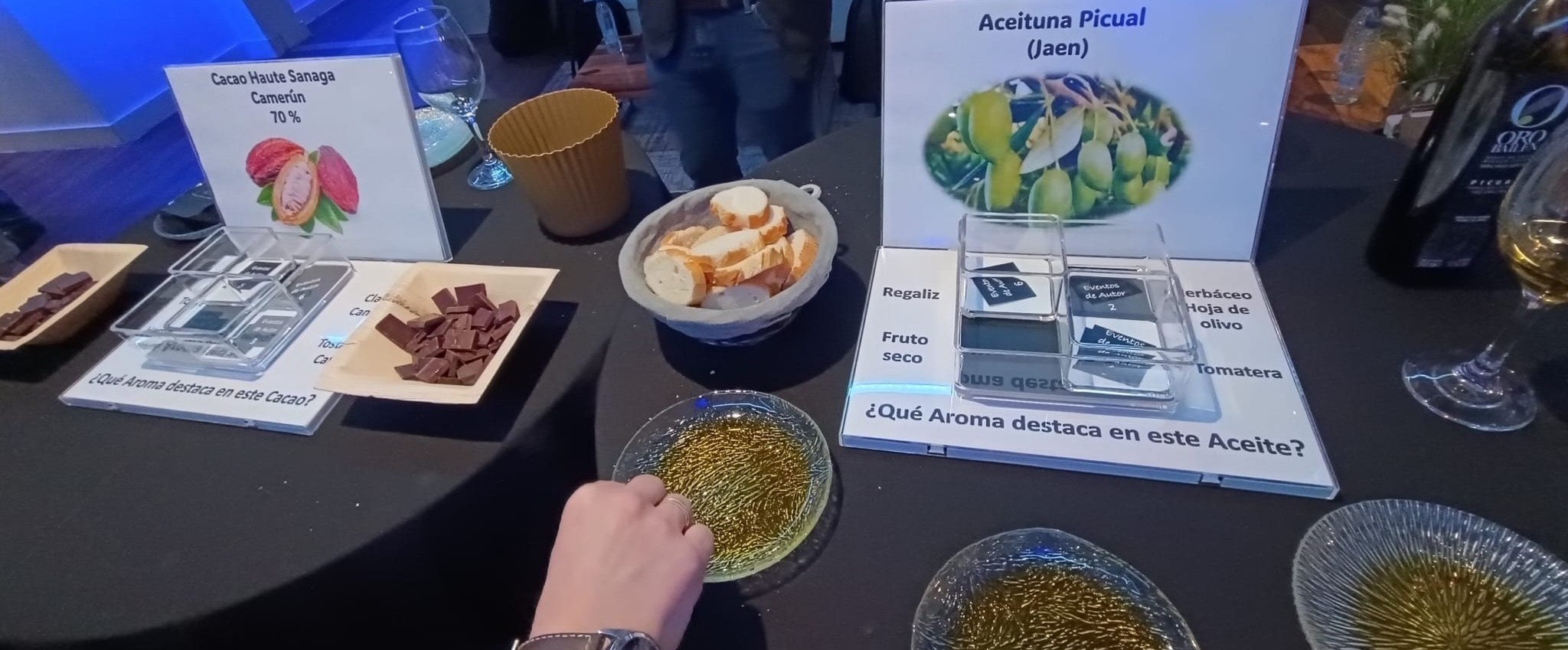 Cata de Aceites con chocolates_12