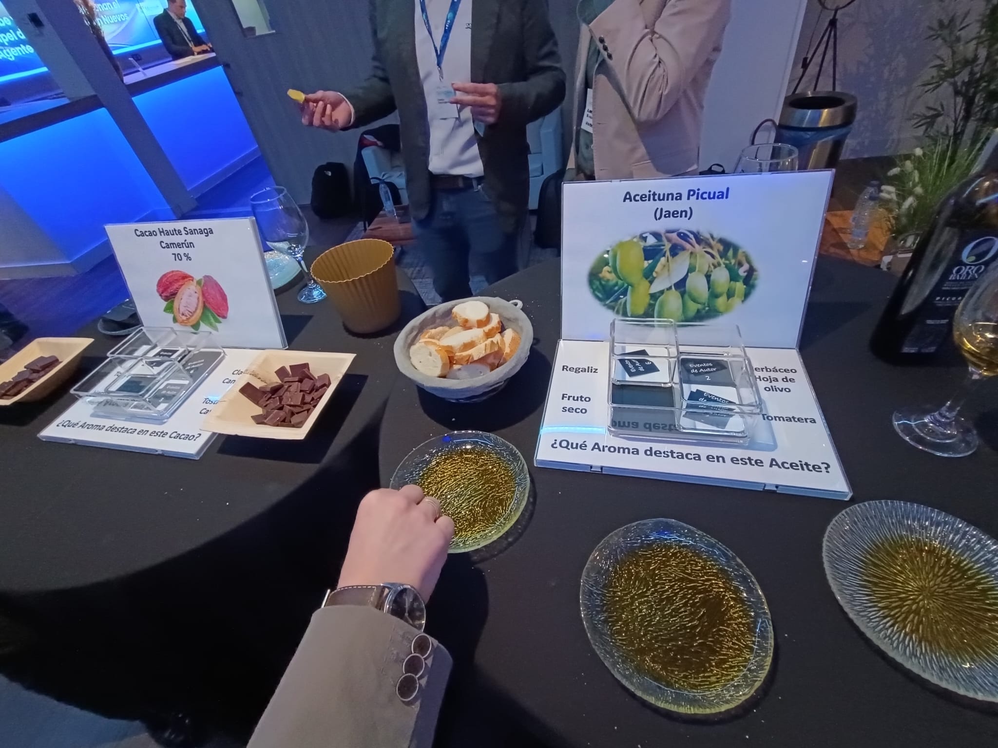 Cata de Aceites con chocolates_5