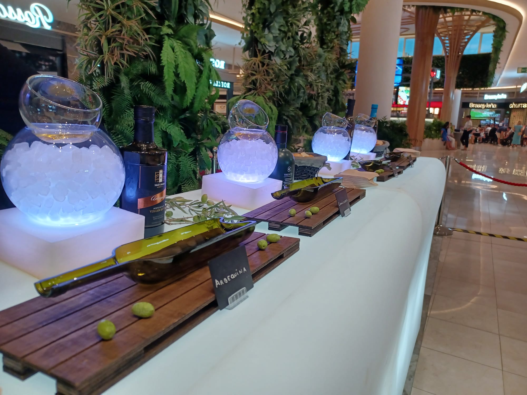 Corner de Aceites de Oliva Virgen Extra (AOVE)_4