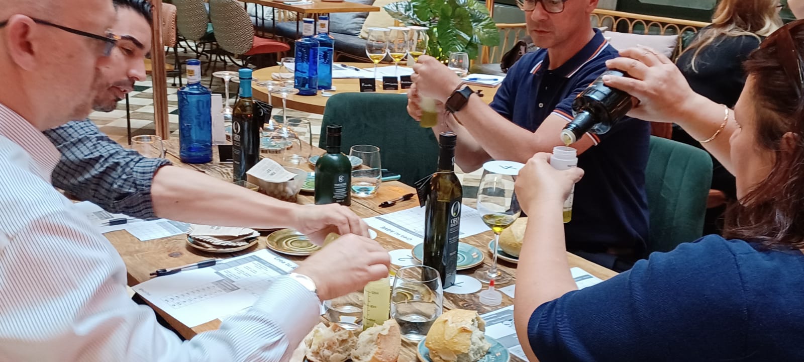 Crea tu Aceite de Oliva Virgen Extra (AOVE)_10