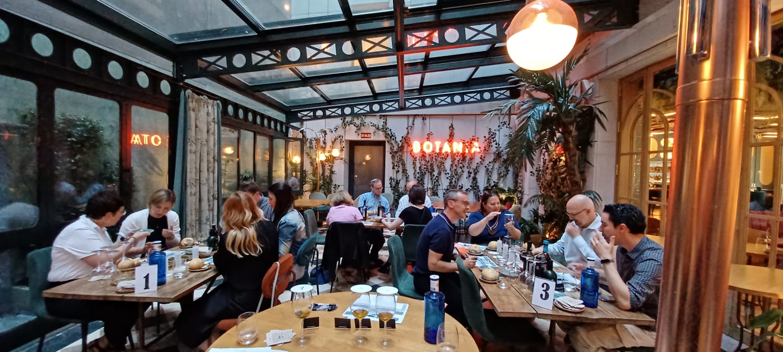 Crea tu Aceite de Oliva Virgen Extra (AOVE)_12