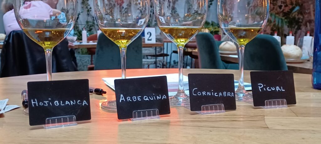 Crea tu Aceite de Oliva Virgen Extra (AOVE)_18