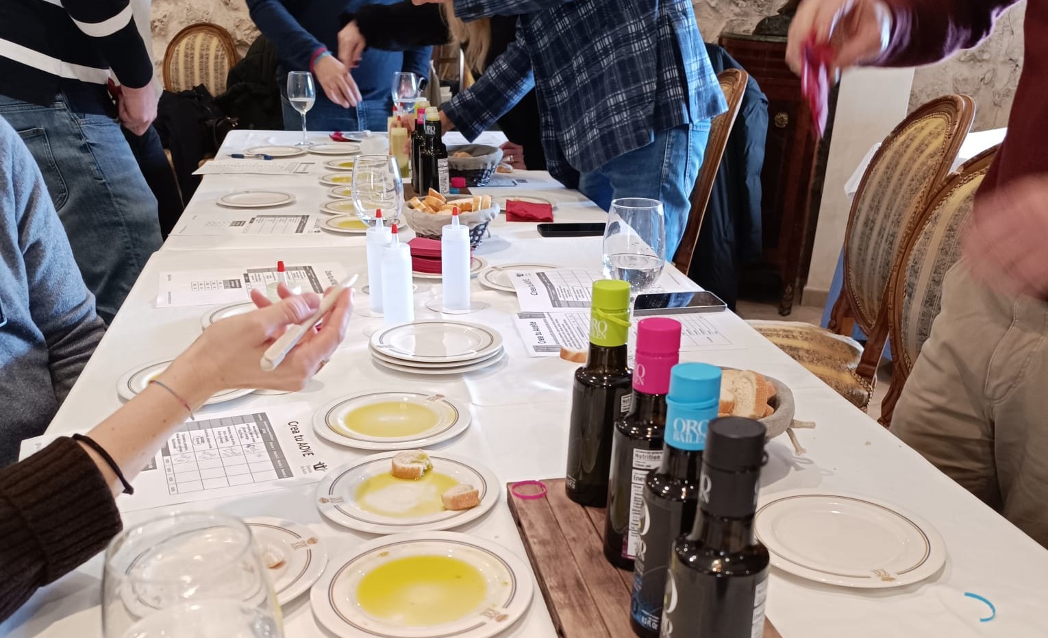 Crea tu Aceite de Oliva Virgen Extra (AOVE)_21