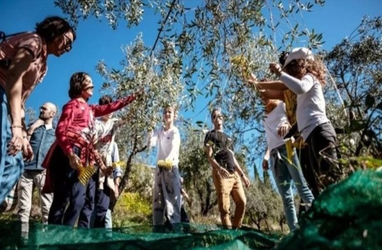 Oleoturismo en Madrid_17
